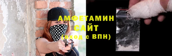 прущие грибы Лабытнанги