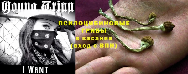 а пвп мука Куйбышев